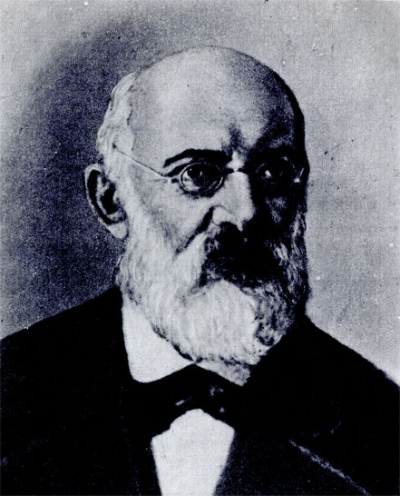 В. И. Водовозов (1825-1886)