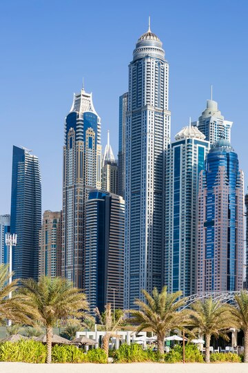 https://ru.freepik.com/free-photo/vertical-view-skyscrapers-palm-trees-dubai-uae_10585622.htm#fromView=search&page=1&position=2&uuid=d6c1b143-46b8-4648-81b9-79dd5bc8b0e4