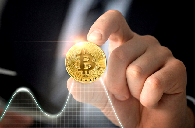 https://ru.freepik.com/free-photo/close-up-hand-holding-coin_19925225.htm